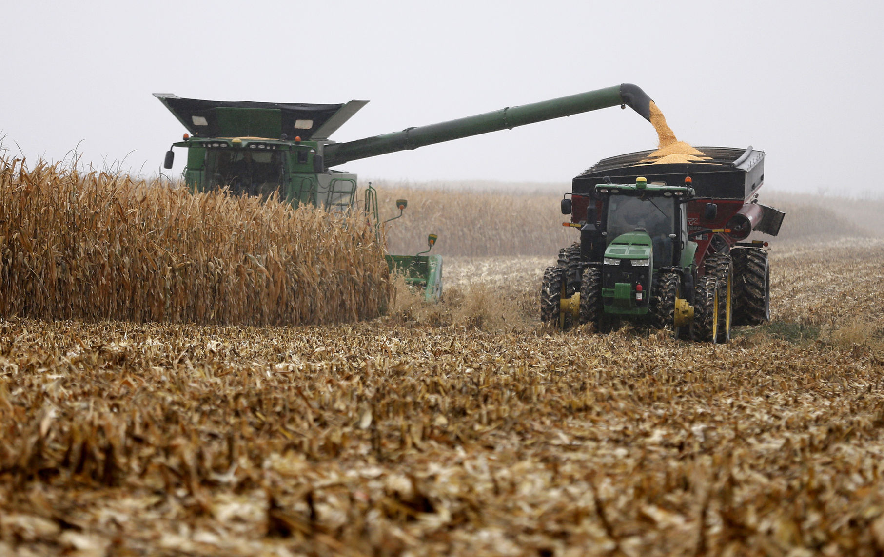 Plainfield harvest
